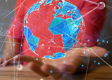 Globalt servicenettverk